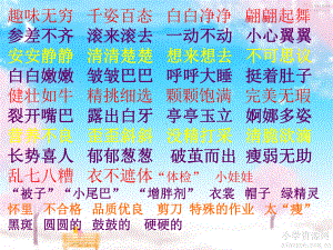 绿豆成长记课件.ppt