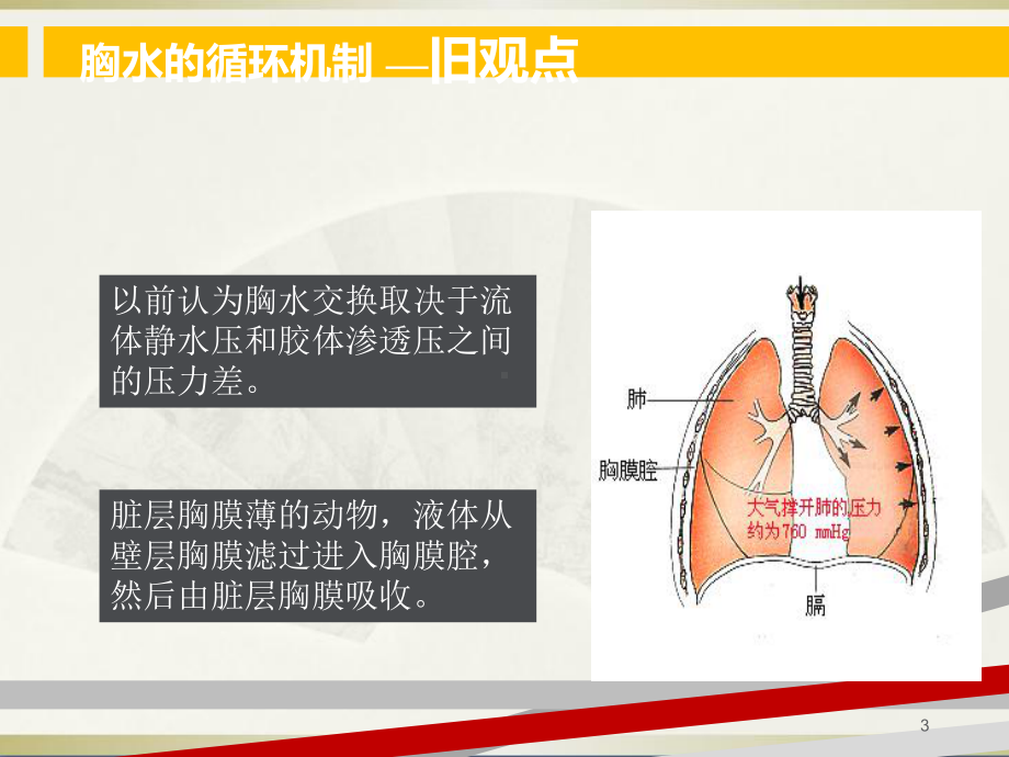 胸腔积液的诊断和鉴别诊断及结核性胸膜炎的治疗科室讲座课件.ppt_第3页