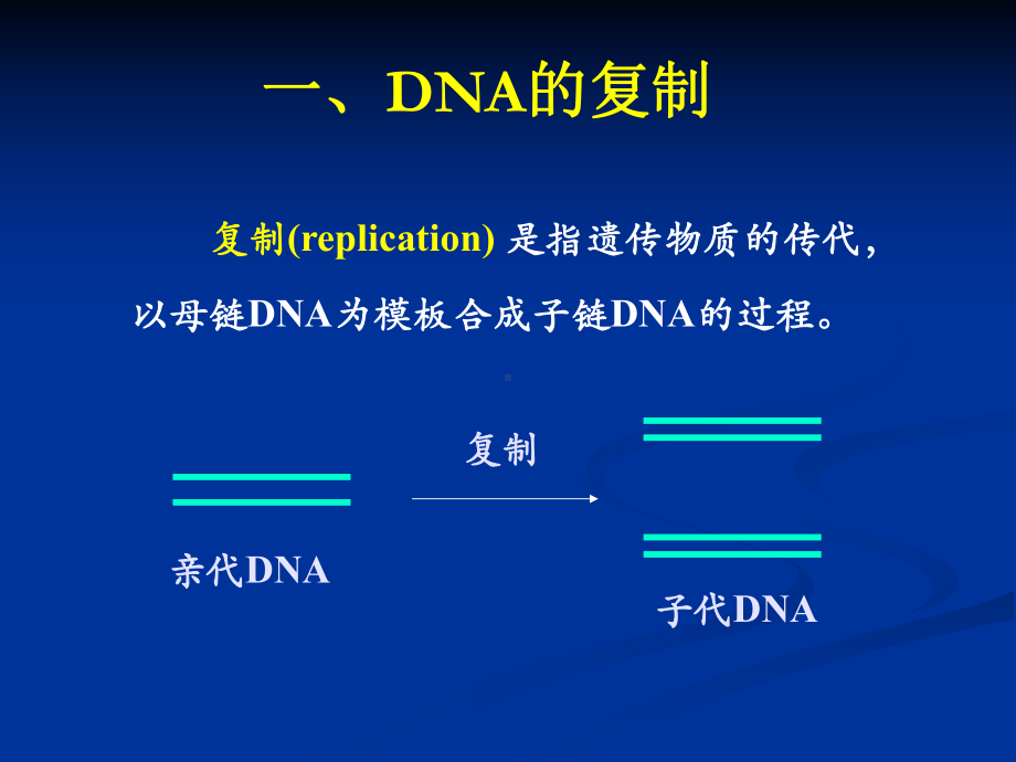 第二章DNA复制讲义课件.ppt_第3页