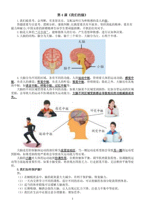 小学科学青岛版五四制五年级下册第二单元第4课《我们的脑》知识点整理.docx