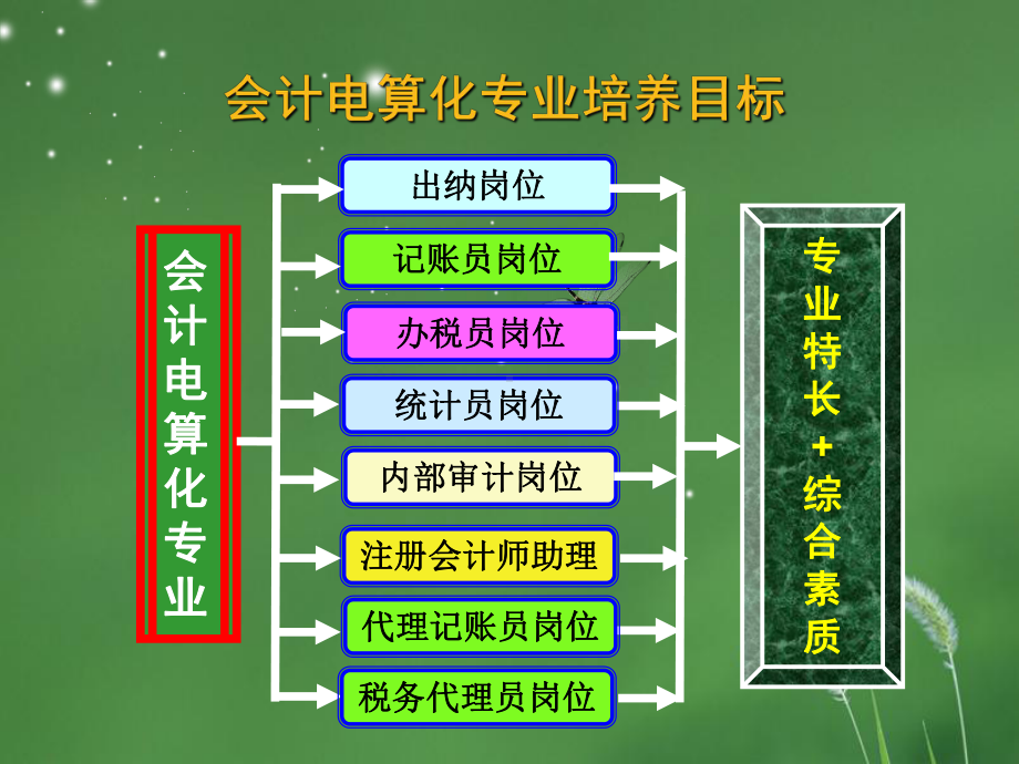 纳税实务课程整体设计介绍(ppt19张)课件.ppt_第3页