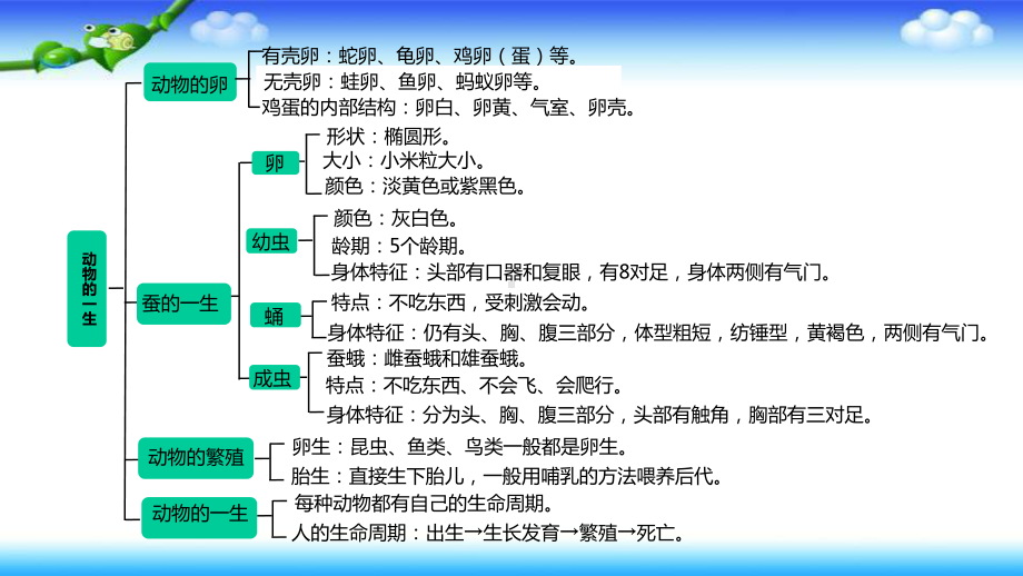 三年级下册科学-教科版-第二单元-动物的一生-单元整理与复习-课件教学提纲.ppt_第2页