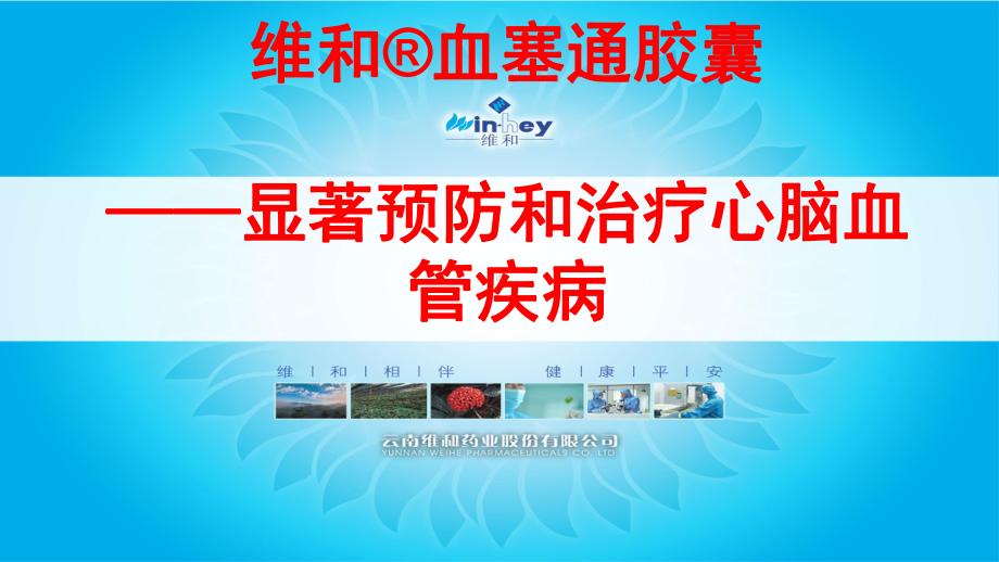 维和-血塞通胶囊(科室会标准版)课件.ppt_第1页