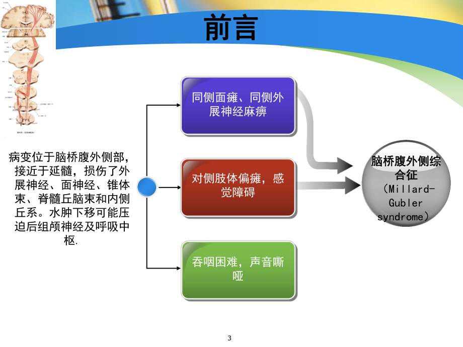 个案护理汇报(范例)PPT幻灯片课件.ppt_第3页