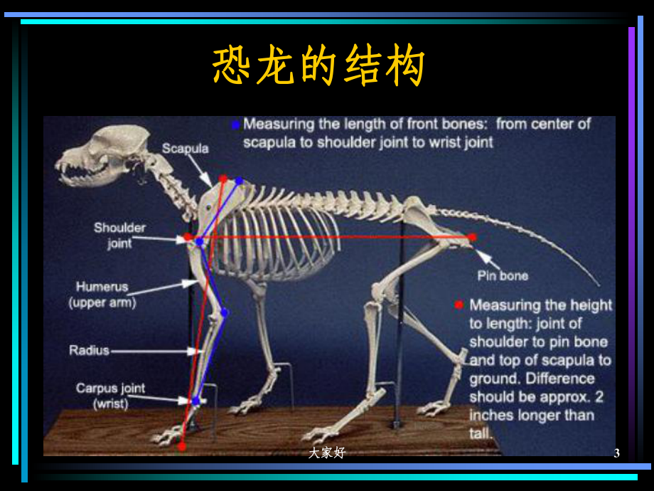 结构化思维与表达-PPT课件.ppt_第3页