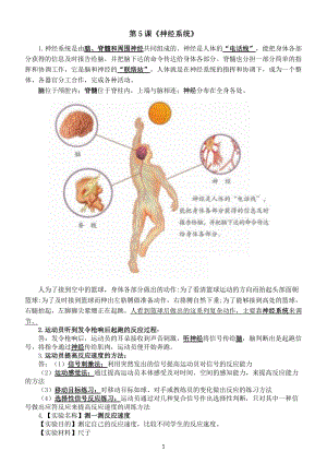 小学科学青岛版五四制五年级下册第二单元第5课《神经系统》知识点整理.docx