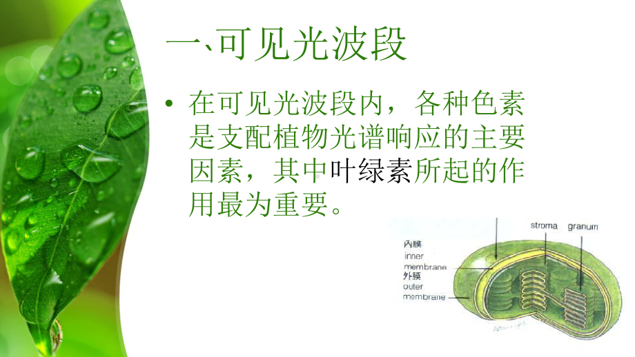 红外光谱-植物光谱分析分析课件.ppt_第3页