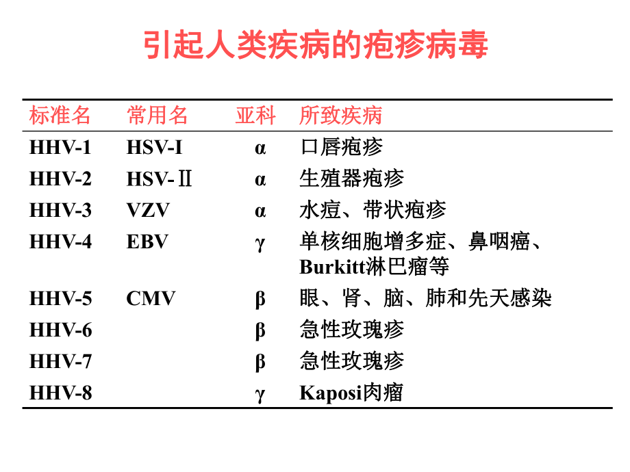 第二十七章-疱疹病毒课件.ppt_第3页