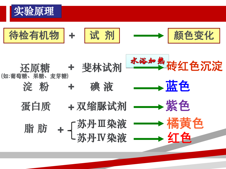 糖类脂肪蛋白质的检测.ppt课件.ppt_第1页