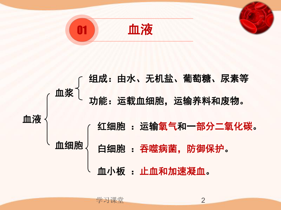 第二章单元复习爱护心脏确保运输(课资运用)课件.ppt_第2页