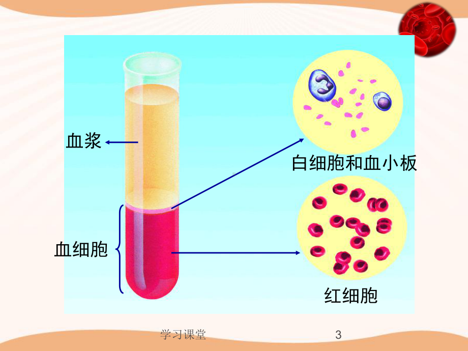 第二章单元复习爱护心脏确保运输(课资运用)课件.ppt_第3页