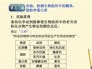 糖类脂质蛋白质的鉴定实验.课件.ppt