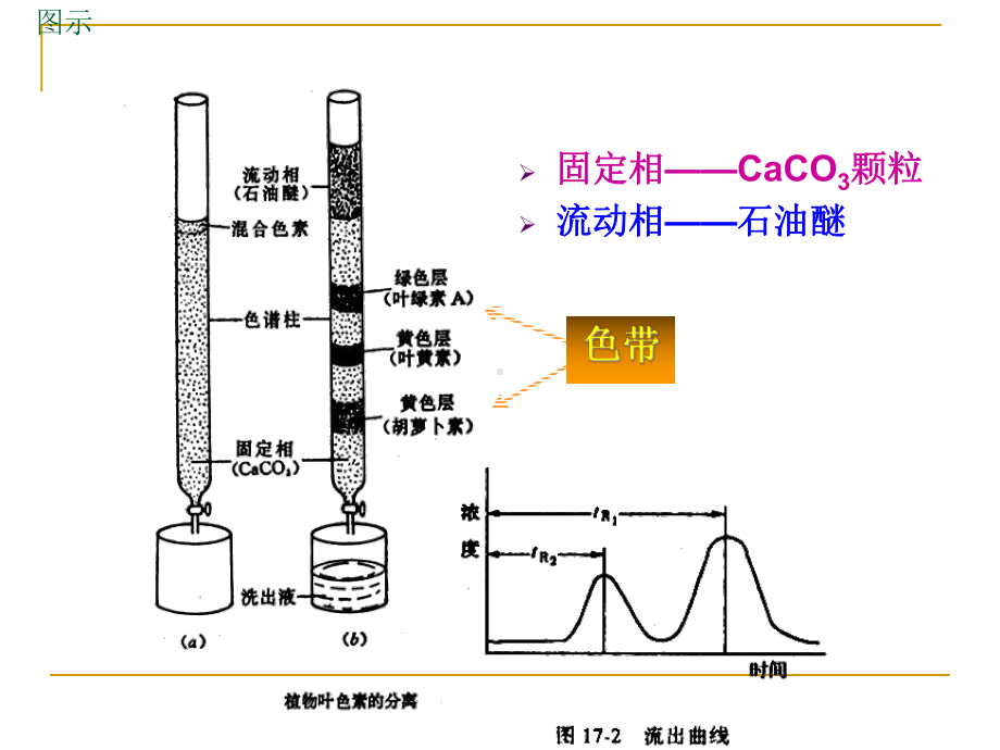 第十章-色谱分离过程课件.ppt_第2页