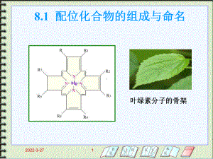 第8章-配位化合物与配位滴定课件.ppt