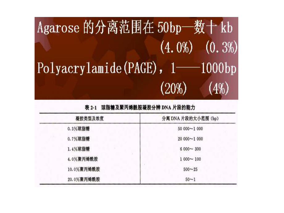 第五章分子生物学研究方法朱玉贤版课件.ppt_第2页