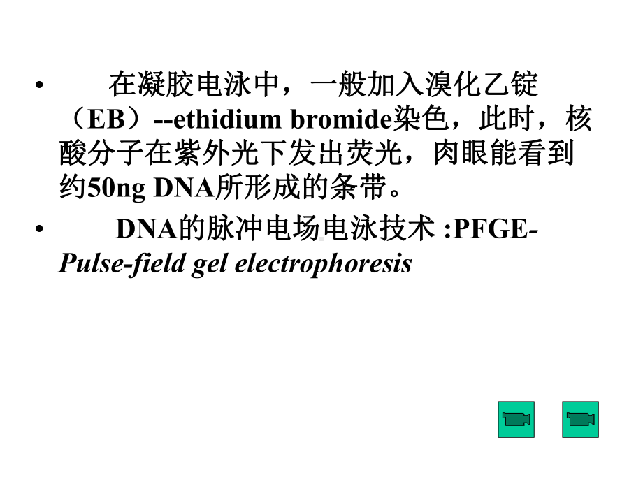 第五章分子生物学研究方法朱玉贤版课件.ppt_第3页