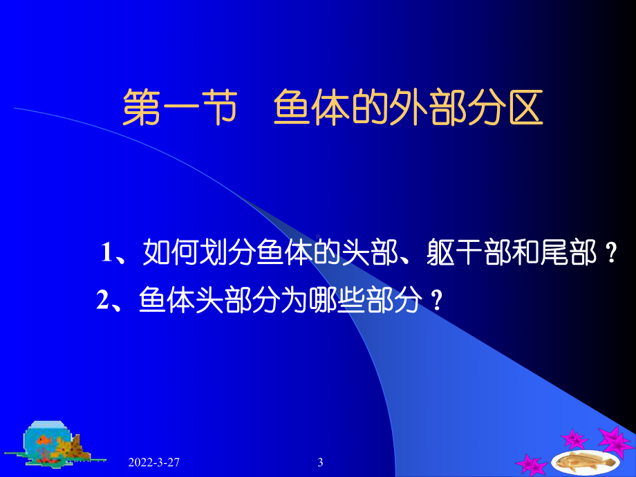 第一篇鱼类的形态构造课件.ppt_第3页