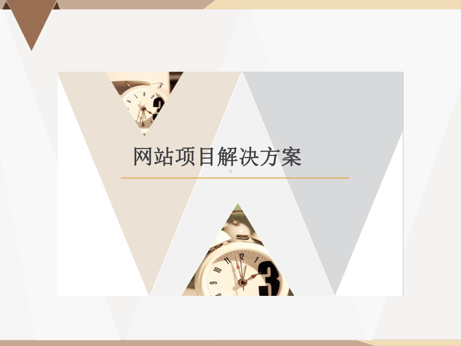 网站项目解决方案-PPT课件.ppt_第1页