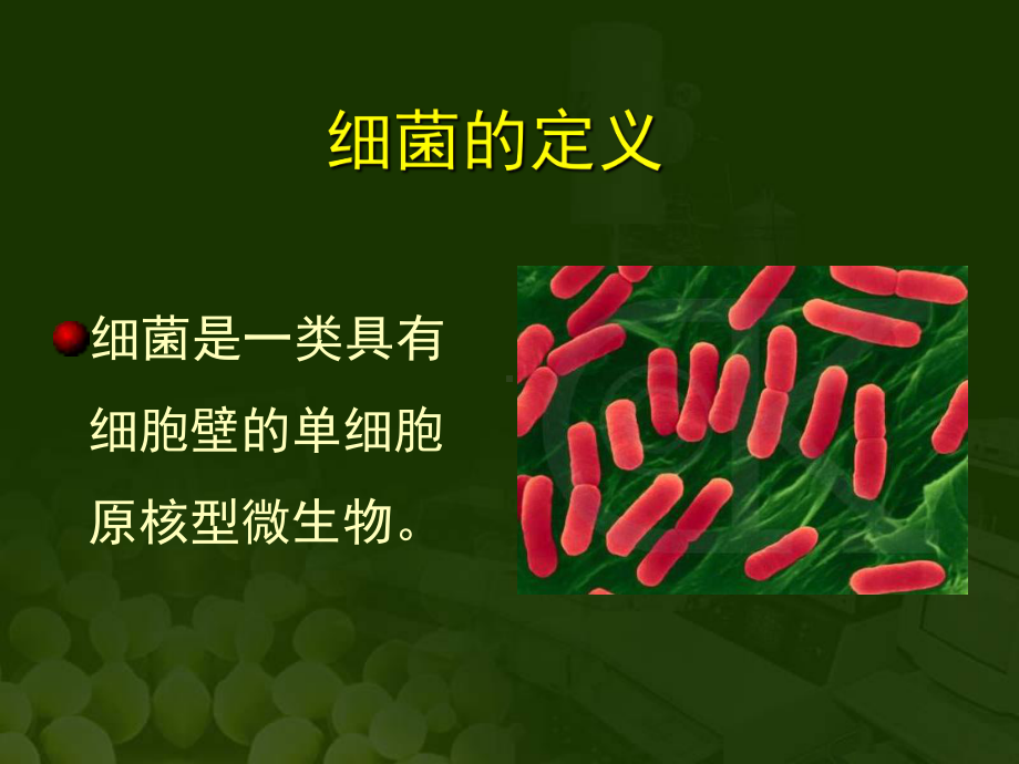 细菌形态与结构课件.ppt_第2页