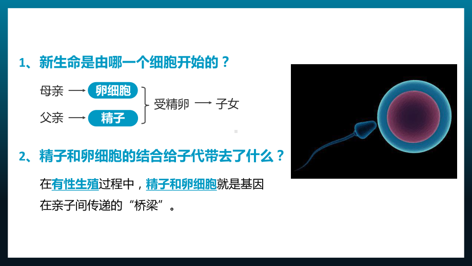 人教版八年级生物下册基因在亲子代间的传递PPT模板.pptx_第2页