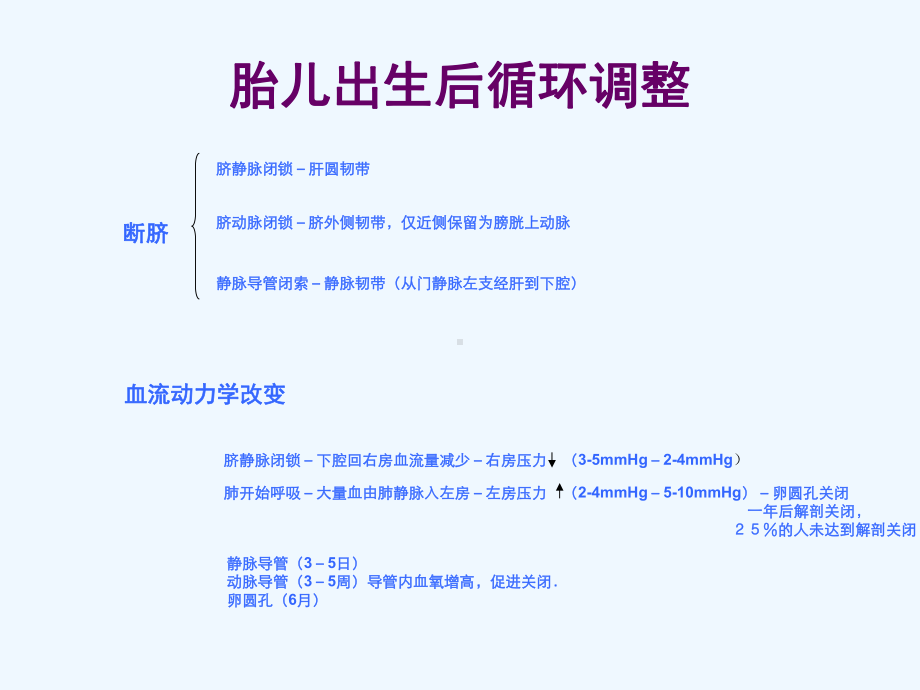 胎儿超声心动图ppt课件.ppt_第3页