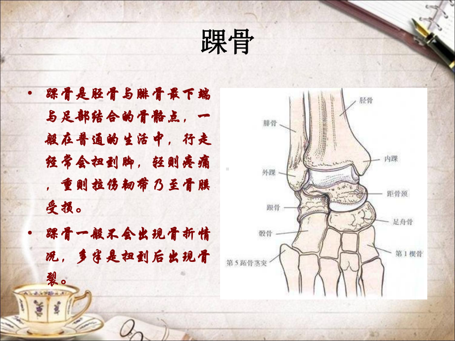 三踝骨折护理查房课件.ppt_第2页