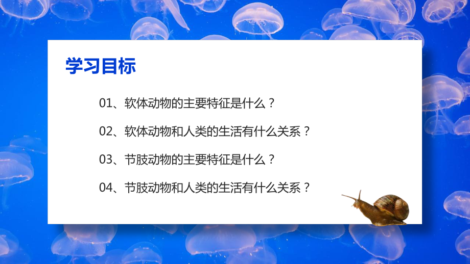 人教版八年级生物上册软体动物和节肢动物PPT模板.pptx_第2页