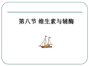 维生素与辅酶重点课件.ppt