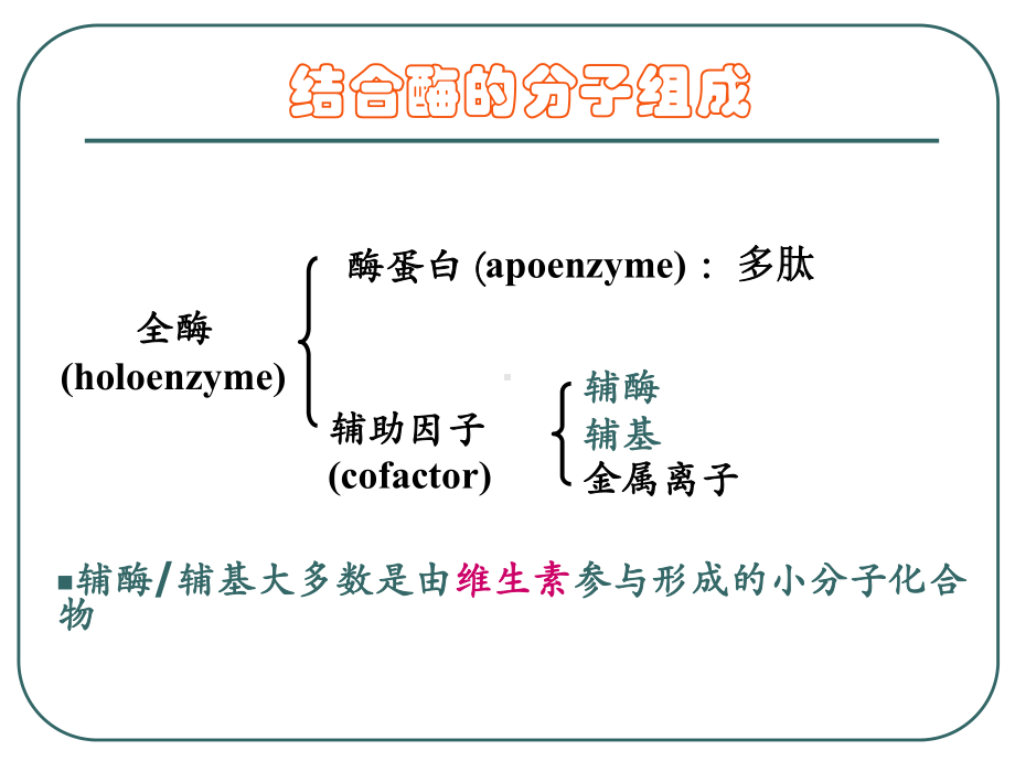 维生素与辅酶重点课件.ppt_第2页