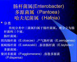 肠杆菌属(Enterobacter)课件.ppt