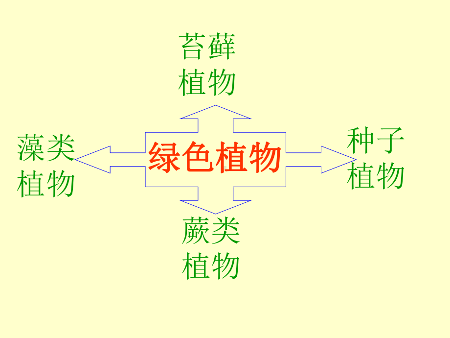 绿色植物的主要类群课件.ppt_第2页