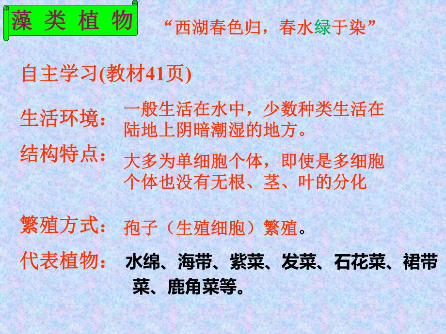 绿色植物的主要类群课件.ppt_第3页