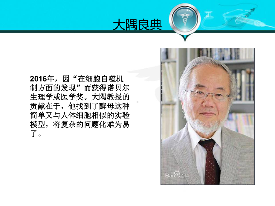 细胞自噬机制-PPT课件.ppt_第3页