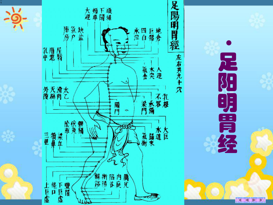 经络学-足阳明胃经课件.ppt_第1页