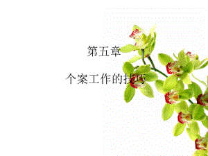 个案工作的技巧课件.ppt