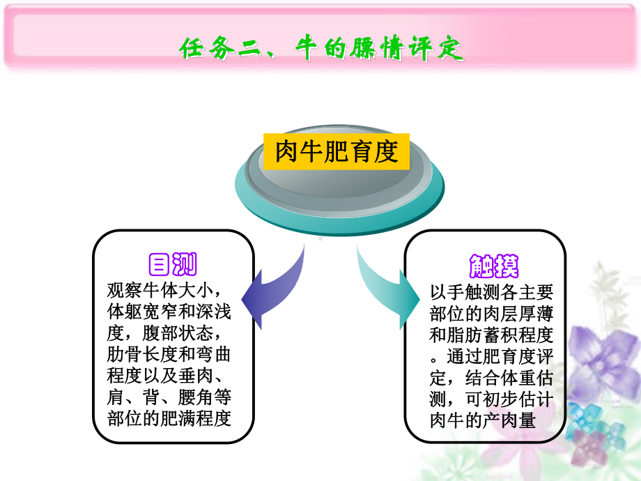 肉牛的饲养管理课件.ppt_第3页