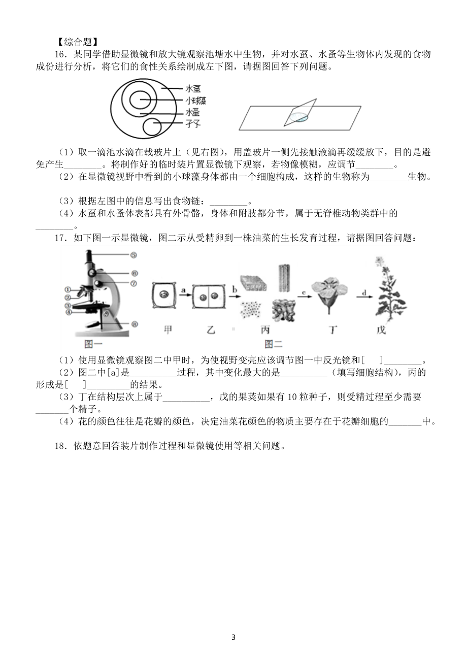 初中生物中考总复习《细胞是生物体结构和功能的基本单位》专项练习（附参考答案）.docx_第3页