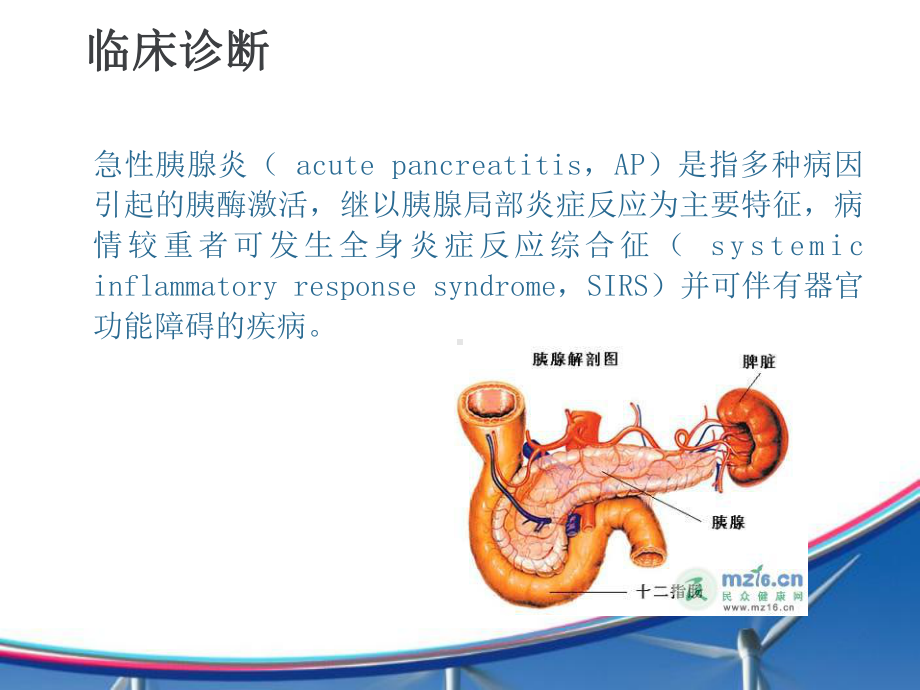 大黄在急性胰腺炎治疗中的应用课件.ppt_第2页