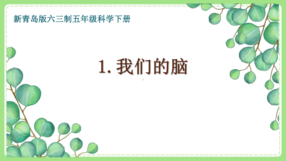 新青岛版六三制五年级下册科学全一册全部课件（共26课时）.pptx_第1页