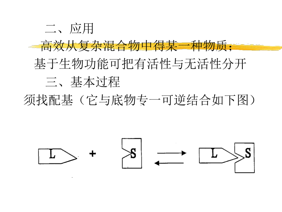 亲和色谱精讲课件.ppt_第2页