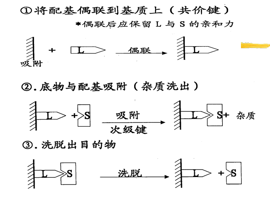 亲和色谱精讲课件.ppt_第3页