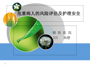 危重病人的风险评估及护理安全PPT课件课件.ppt