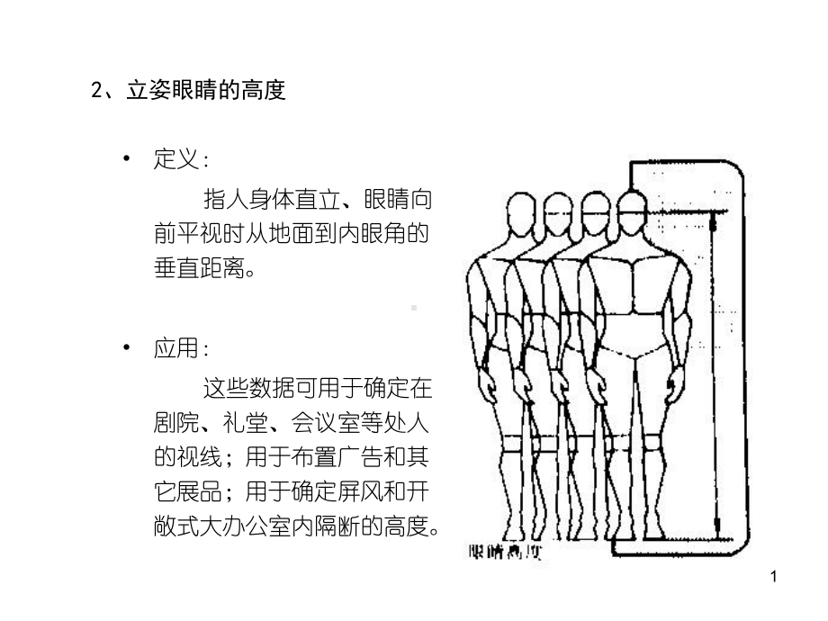 人体常用尺寸课件.ppt_第1页