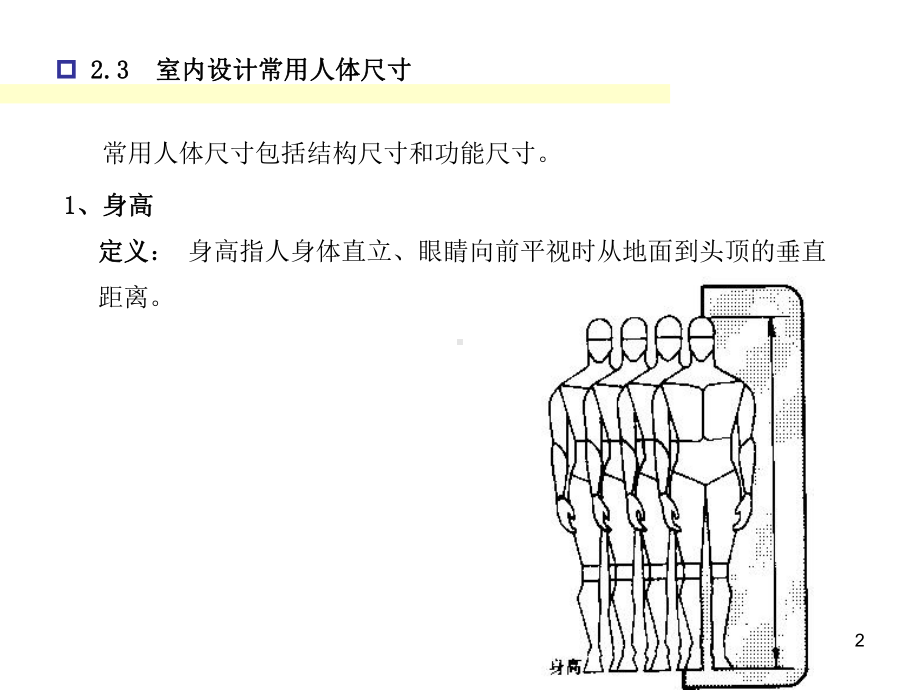 人体常用尺寸课件.ppt_第2页