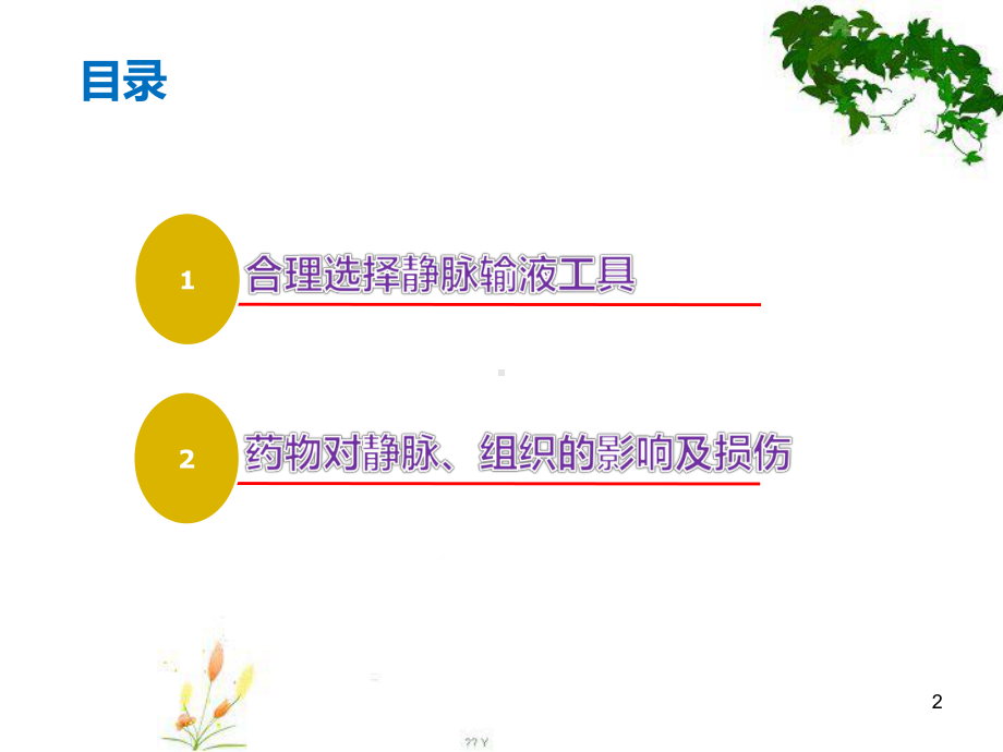 合理选择静脉输液工具PPT幻灯片课件.ppt_第2页