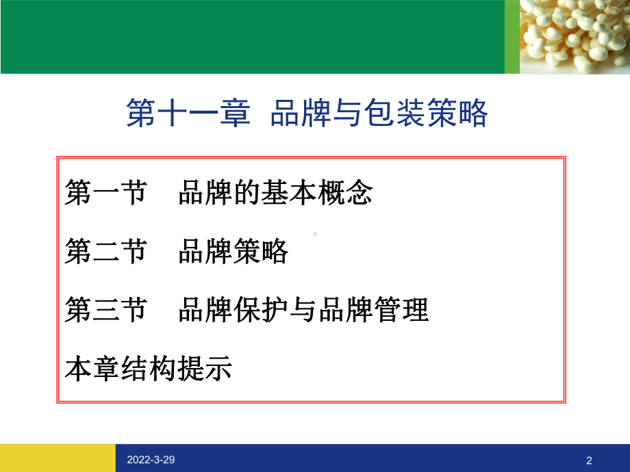 品牌策略课件.ppt_第2页