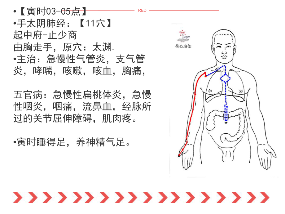 十四经络培训课件.ppt_第2页