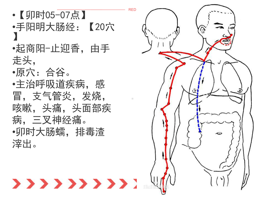 十四经络培训课件.ppt_第3页