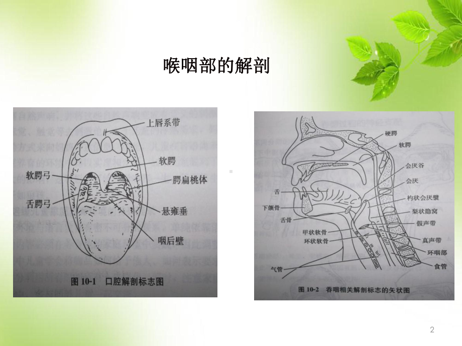 吞咽困难护理查房PPT演示课件.ppt_第2页