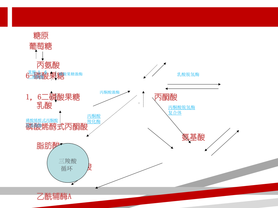 乳酸与重症医学.ppt课件.ppt_第3页